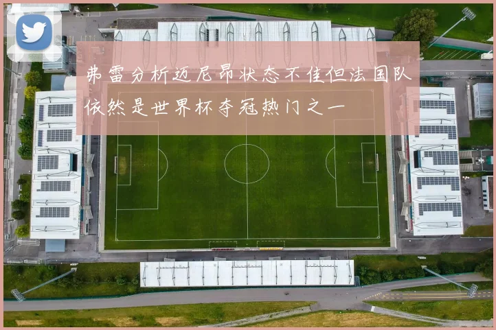 弗雷分析迈尼昂状态不佳但法国队依然是世界杯夺冠热门之一